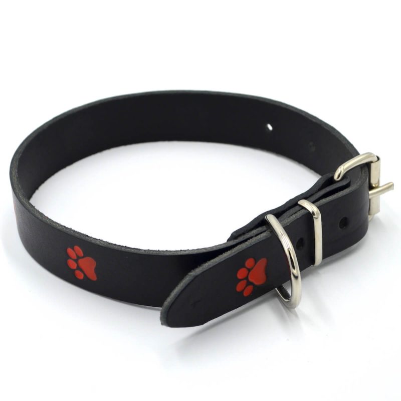 zgarda caine piele neagra talie mica medie ornamente rosii