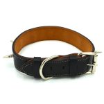 zgarda caine piele neagra tinte metalice