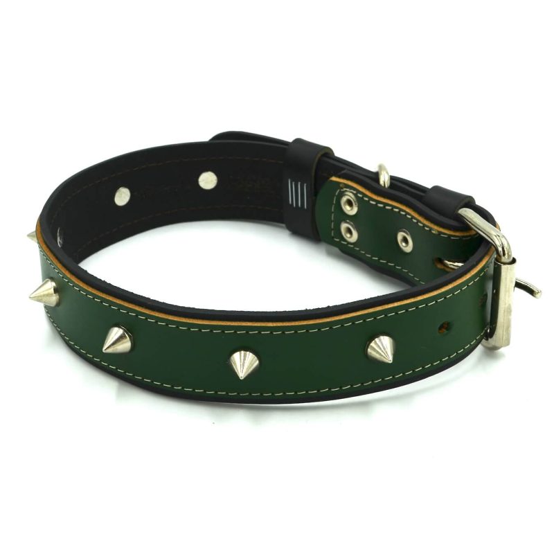 zgarda caine piele verde tinte tepi metalice