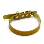 zgarda caini talie mica piele crem1